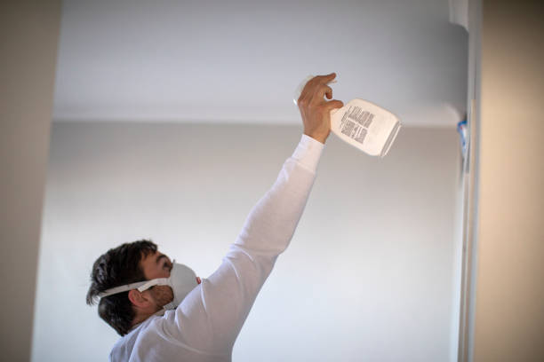 Best Crawl Space Mold Removal  in Mpbell, CA